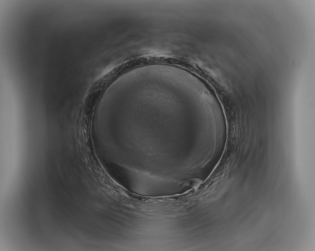 X0000116031303200911271128