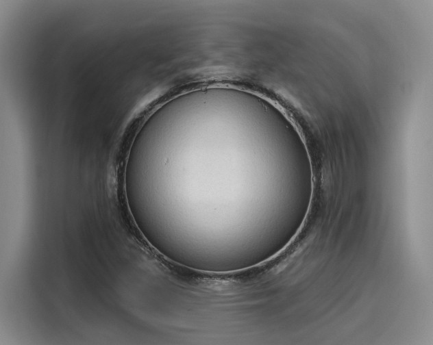 X0000116031309200911271128