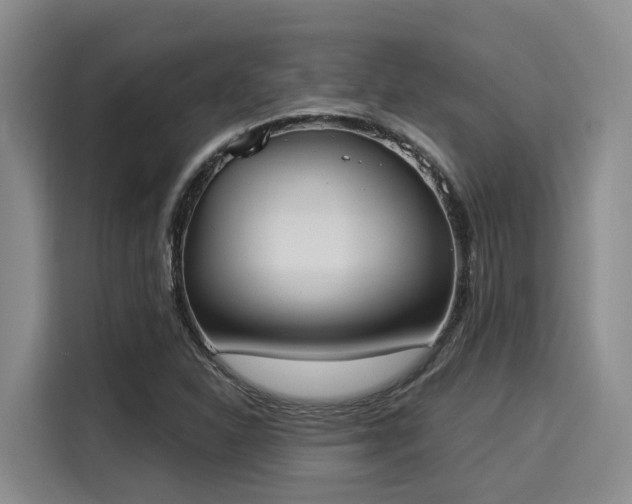 X0000116031310200911271128