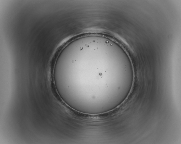 X0000116031315200911271128