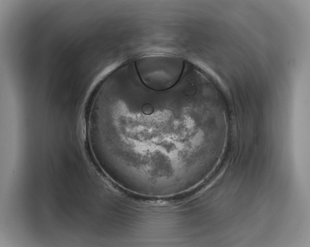 X0000116031317200911271128