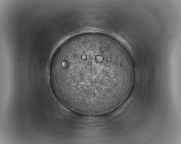 X0000116031318200911271128