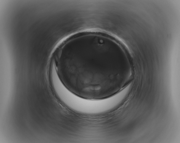 X0000116031319200911271128
