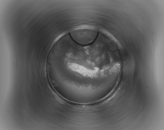 X0000116031321200911271128