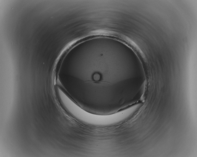 X0000116031323200911271128