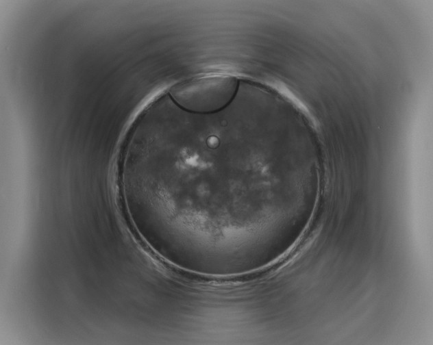 X0000116031325200911271128