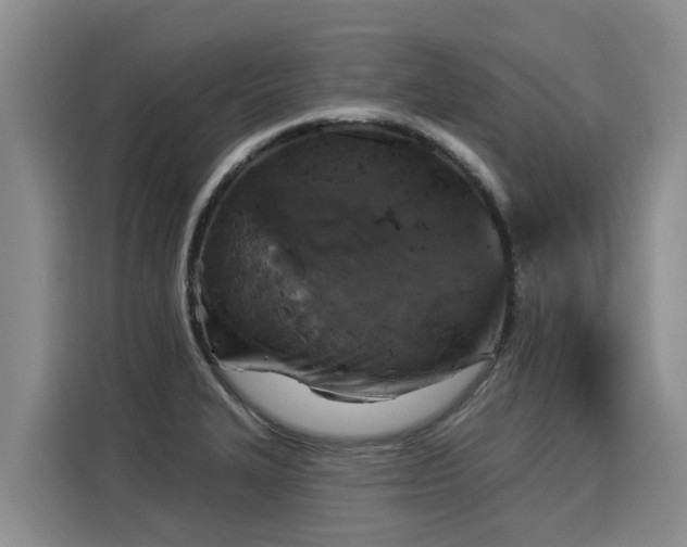 X0000116031327200911271128