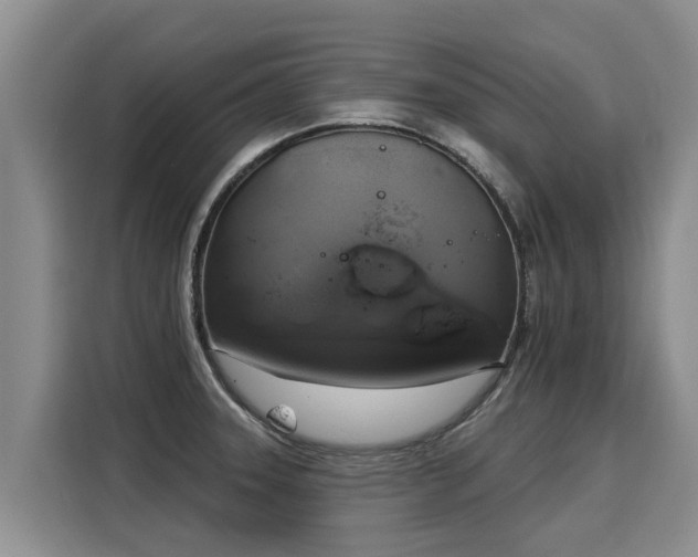 X0000116031331200911271128