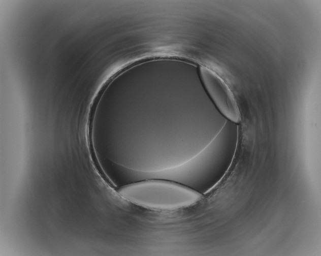 X0000116031334200911271128