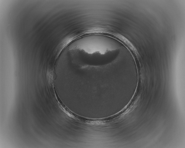 X0000116031337200911271128