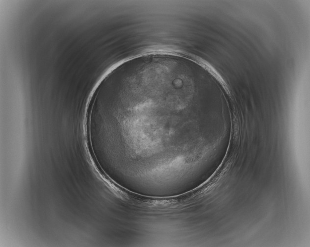 X0000116031339200911271128