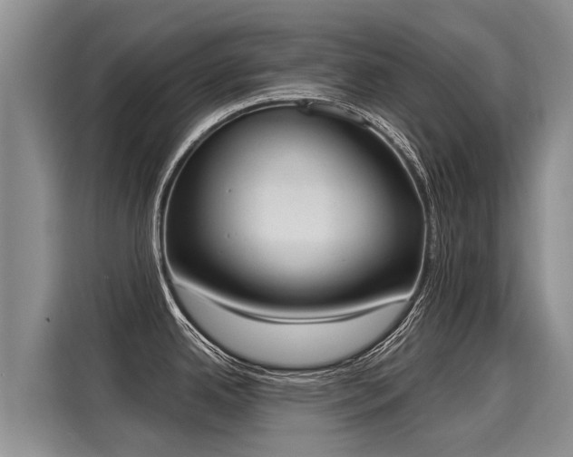 X0000116031342200911271128