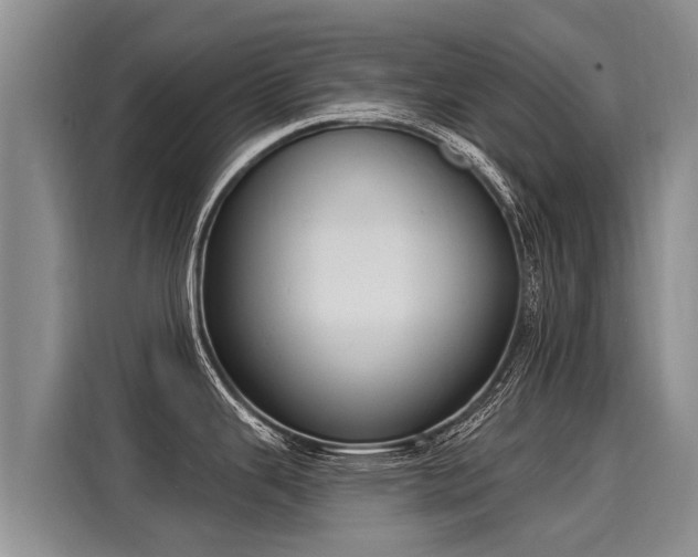 X0000116031343200911271128
