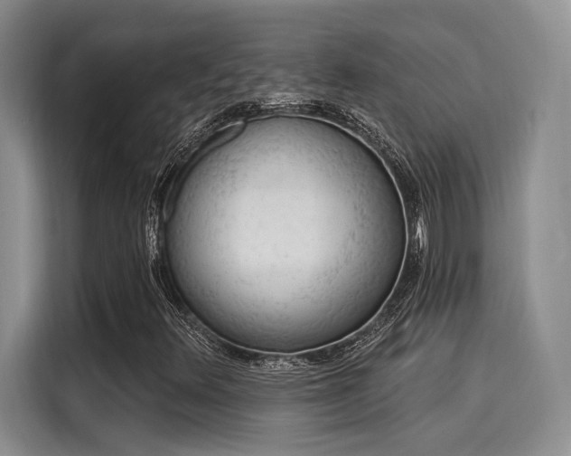 X0000116031348200911271128