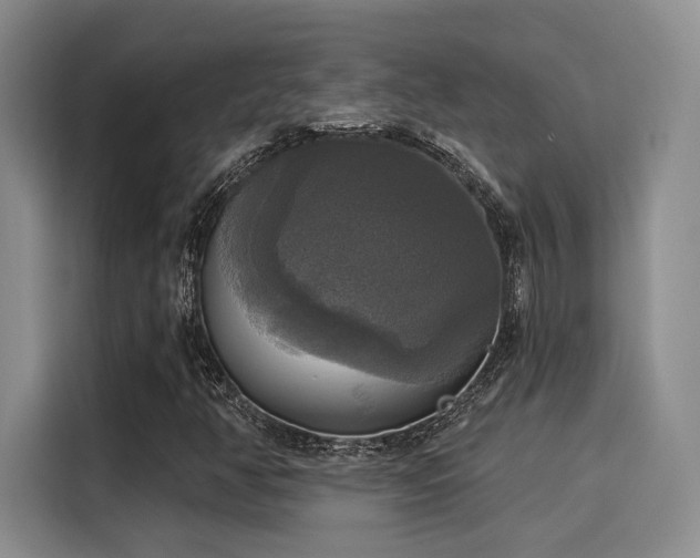 X0000116031350200911271128