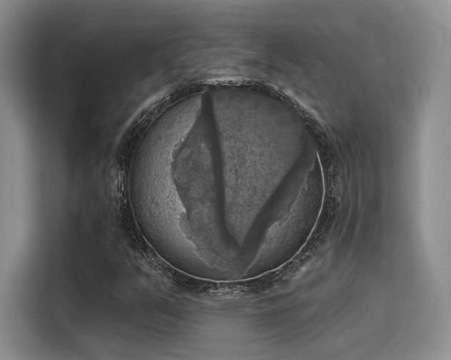 X0000116031351200911271128