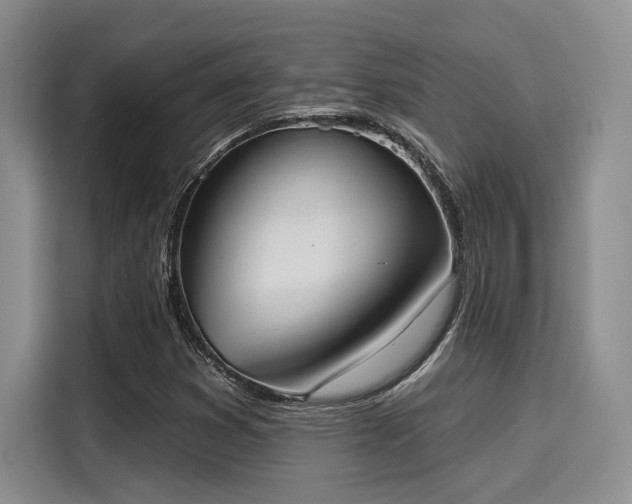 X0000116031353200911271128