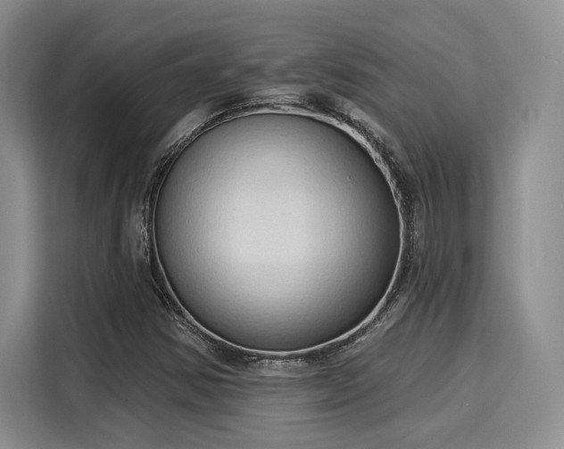 X0000116031354200911271128