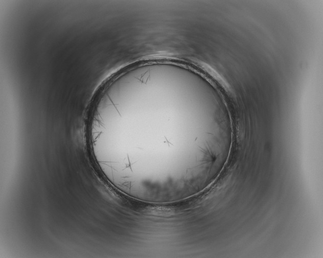 X0000116031356200911271127