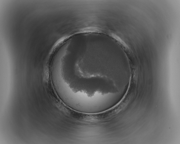 X0000116031358200911271127