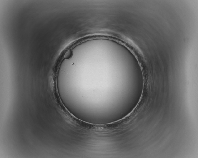 X0000116031360200911271127