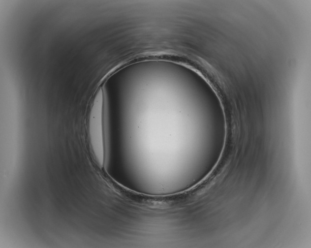 X0000116031361200911271127