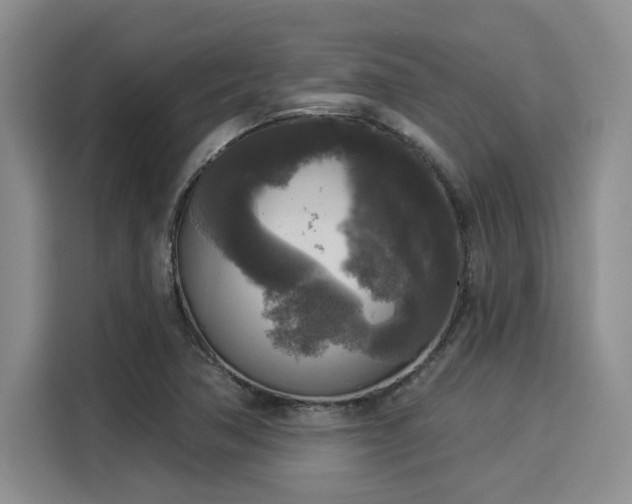 X0000116031362200911271127