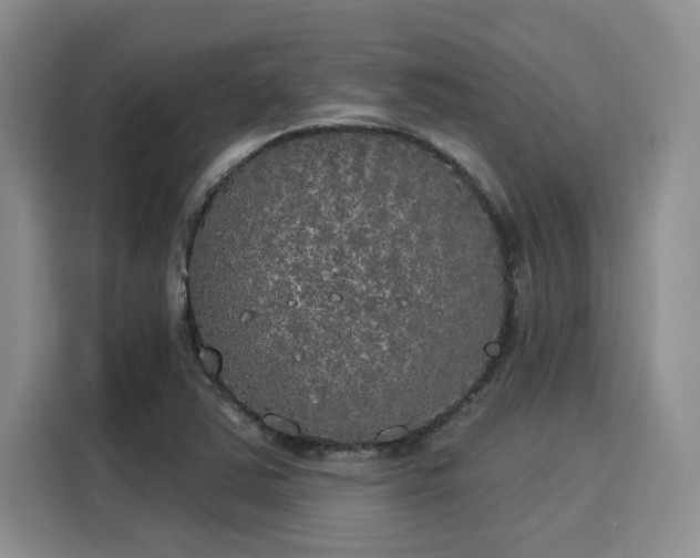 X0000116031363200911271127