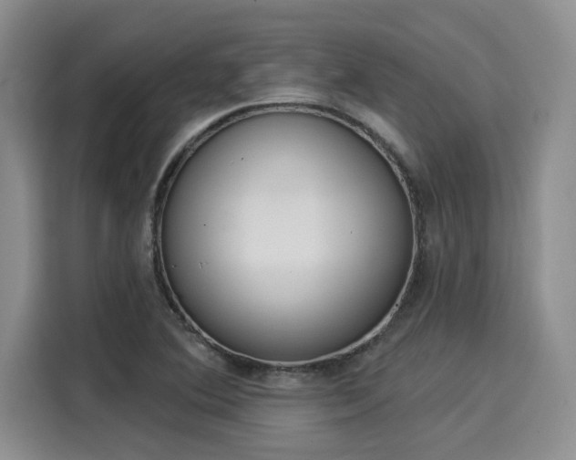 X0000116031364200911271127