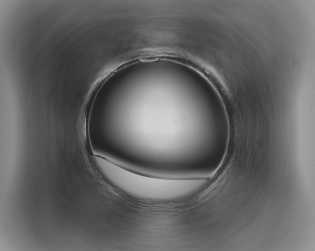 X0000116031365200911271127