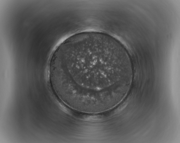 X0000116031367200911271127