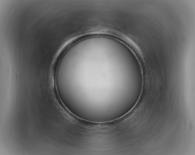 X0000116031368200911271127