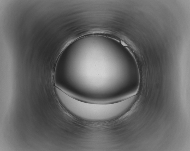 X0000116031369200911271127