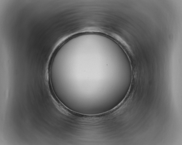 X0000116031372200911271127