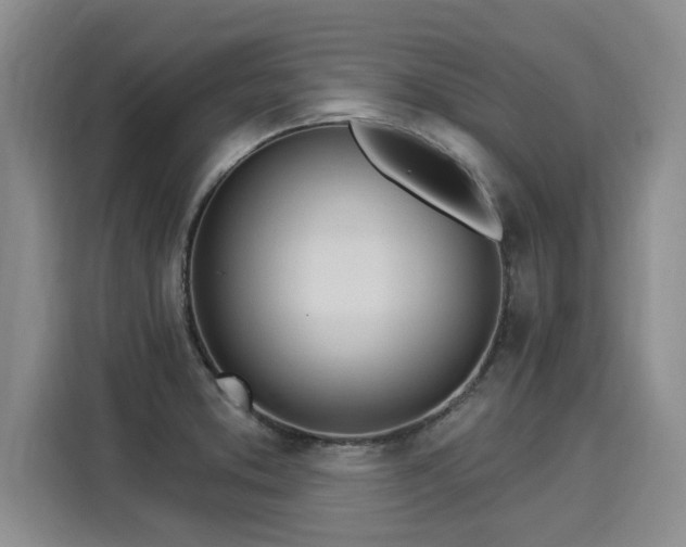 X0000116031373200911271127