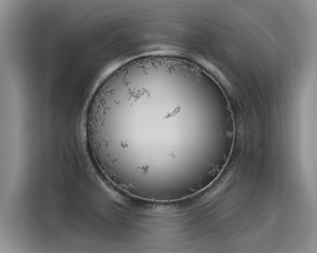 X0000116031375200911271127