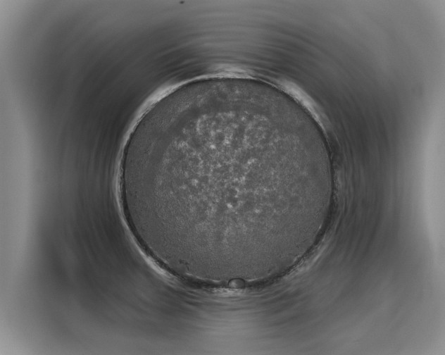 X0000116031379200911271127
