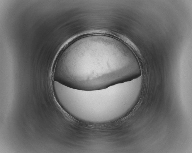 X0000116031380200911271127