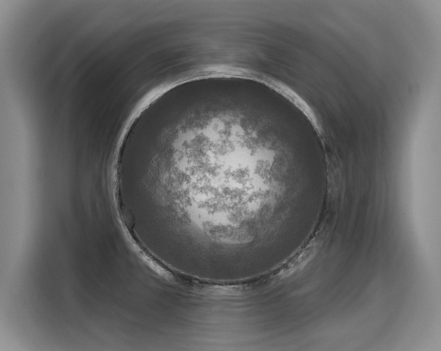 X0000116031381200911271127