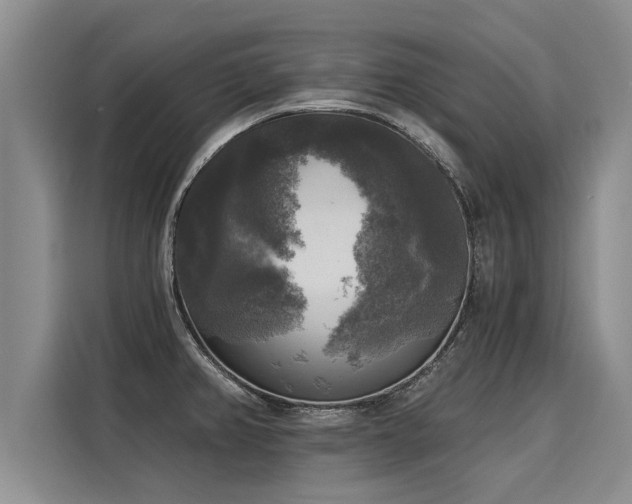 X0000116031382200911271127
