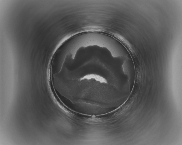 X0000116031383200911271127