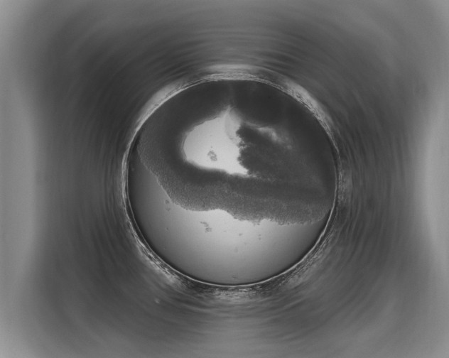 X0000116031386200911271127