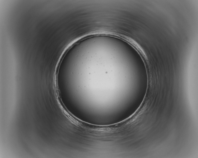 X0000116031388200911271127
