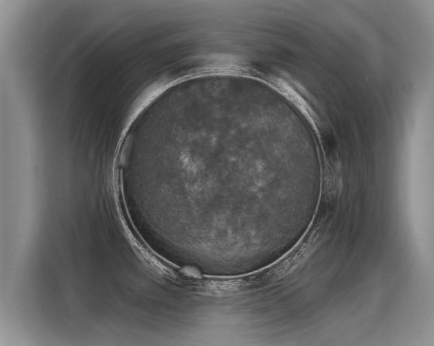 X0000116031389200911271127