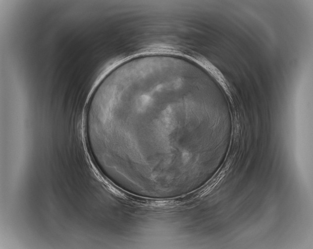 X0000116031390200911271127