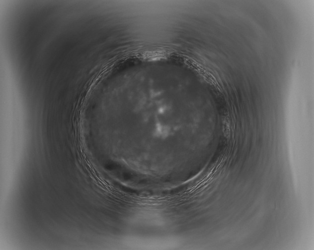 X0000116031393200911271126