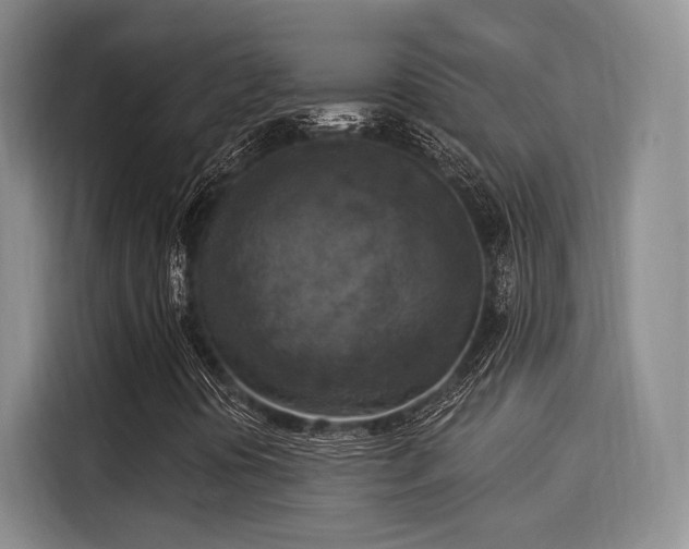 X0000116031394200911271126
