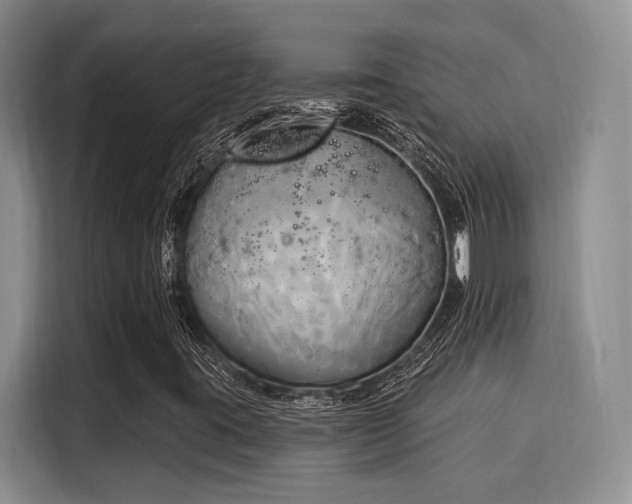 X0000116031395200911271126