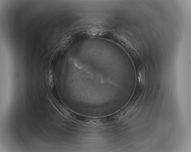 X0000116031396200911271126