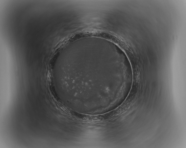 X0000116031397200911271126